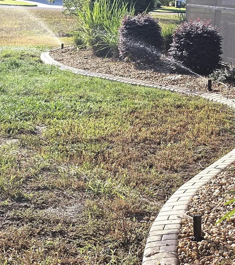 Landscape bed with shrubs and a paver border served by irrigation