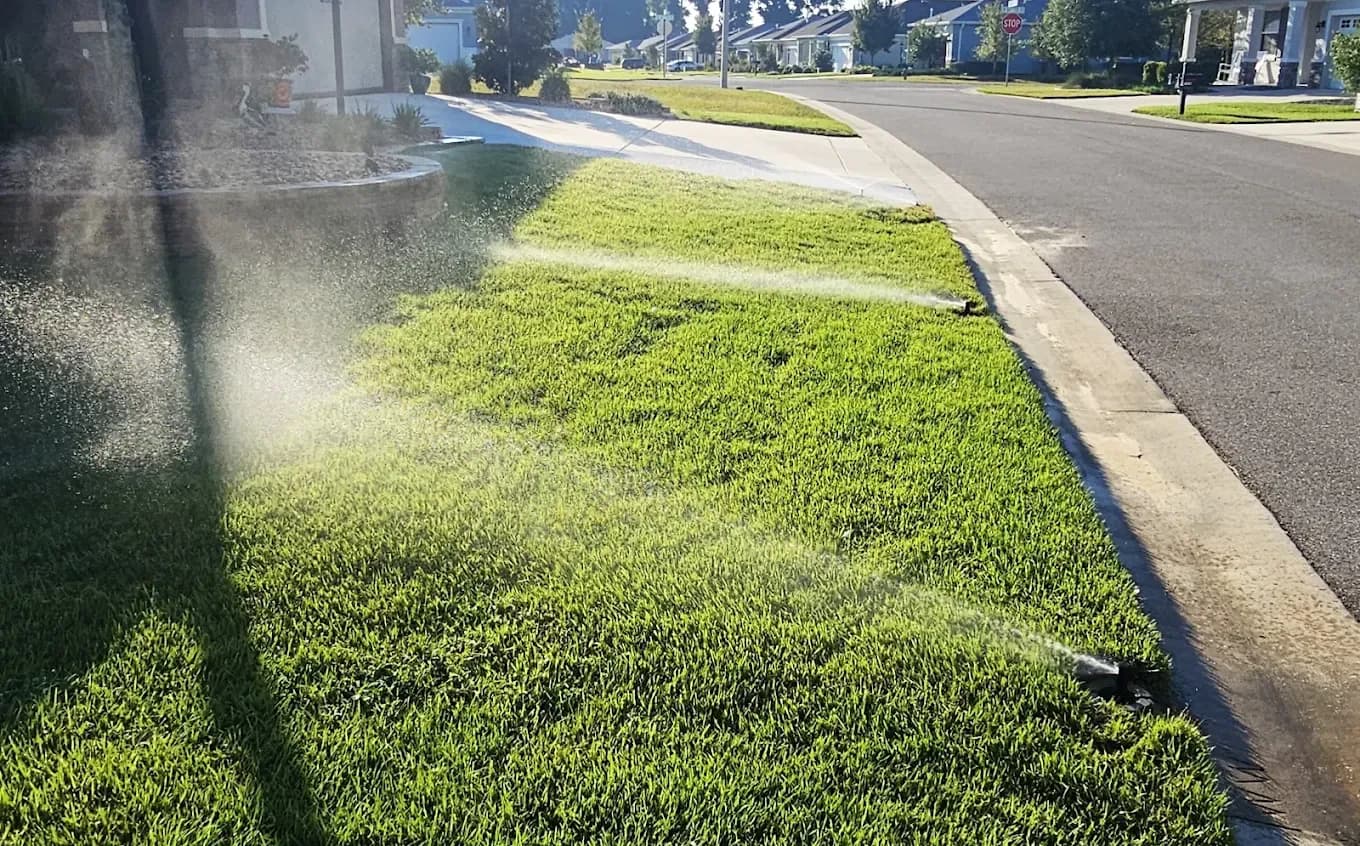 Sprinkler head watering a front lawn beside the street