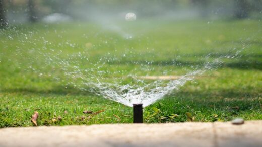 sprinkler head spraying water