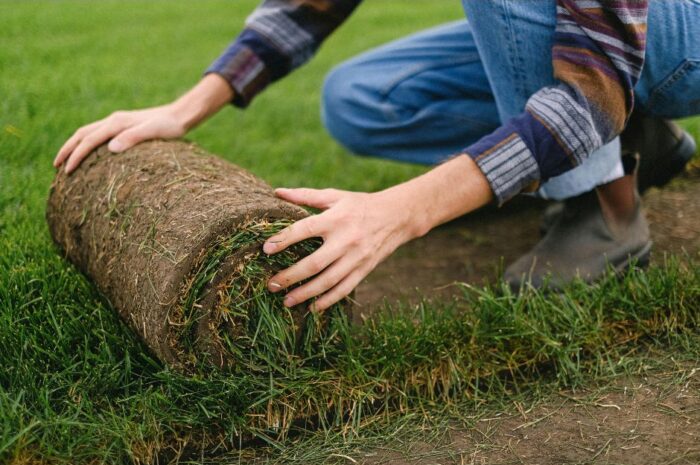 A person install fresh green sod in their yard